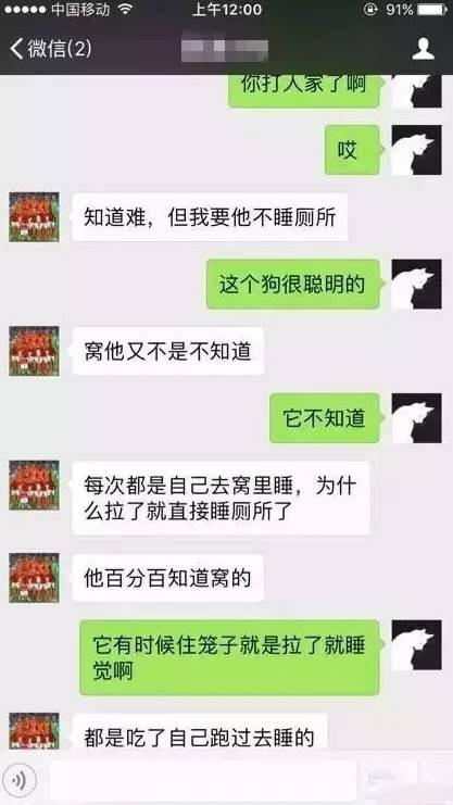 狗狗表现不乖打一顿就好了