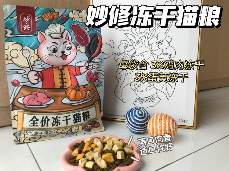 不要养黑猫其中原因老祖宗早已劝告过！