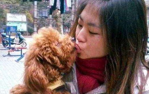 泰迪犬舔人的4个好处，看完你还会拒绝它吗？